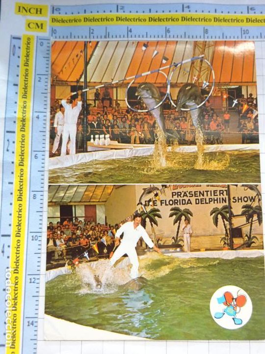 Postkarten: POSTAL DE ALEMANIA. PARQUE DE ATRACCIONES EUROPA PARK, RUST BADEN. DELFINES. 1077