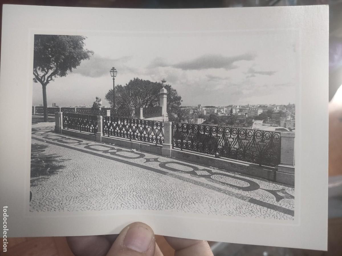 Postais: Postal CALCADA PORTUGUESA Cascais escrita