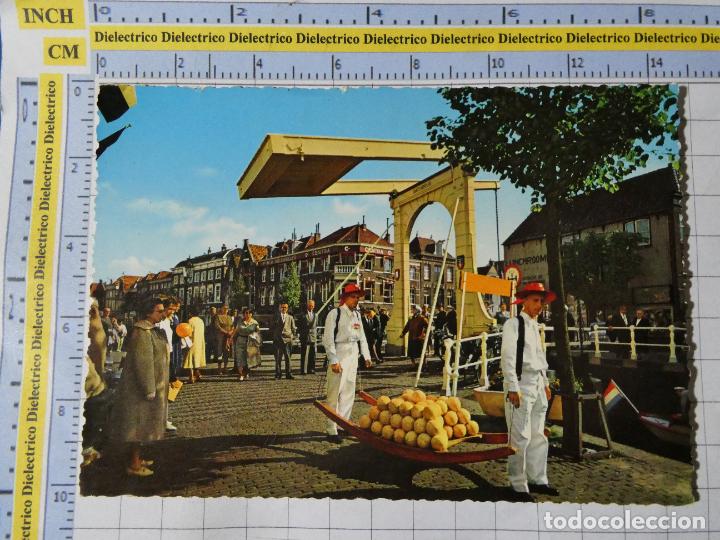 Cartoline: POSTAL DE PAISES BAJOS. ALKMAAR KASSMARKT MERCADO QUESO. 95
