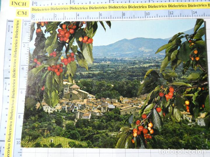 Postcards: POSTAL DE FRANCIA. CEREZOS CERET VALLESPIR. 249