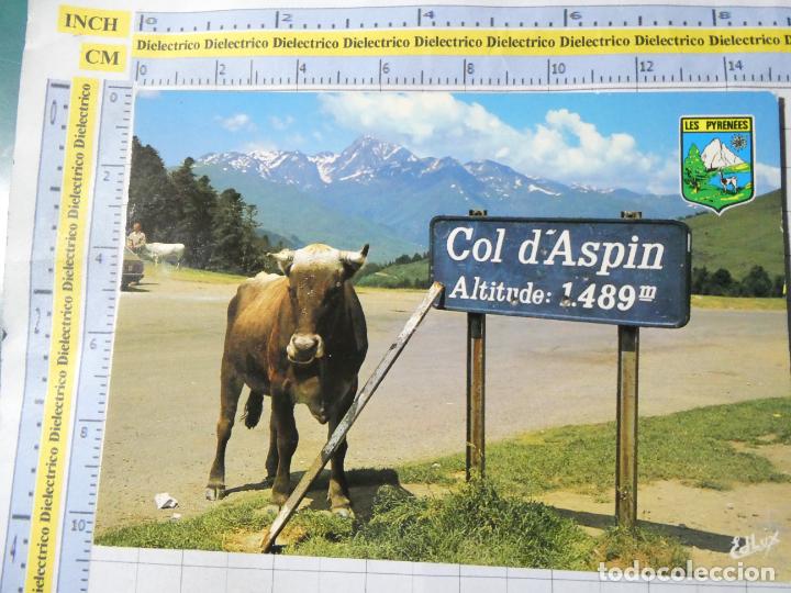 Postkarten: POSTAL DE FRANCIA. COL D'ASPIN. . 253
