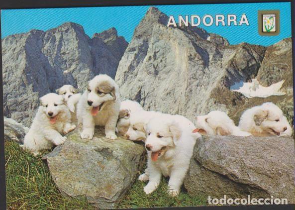 Postales: postal SIN CIRCULAR PAISAJE DE MONTA&Ntilde;A VALLS D'ANDORRA ANDORRA POST CARD SOY.YO