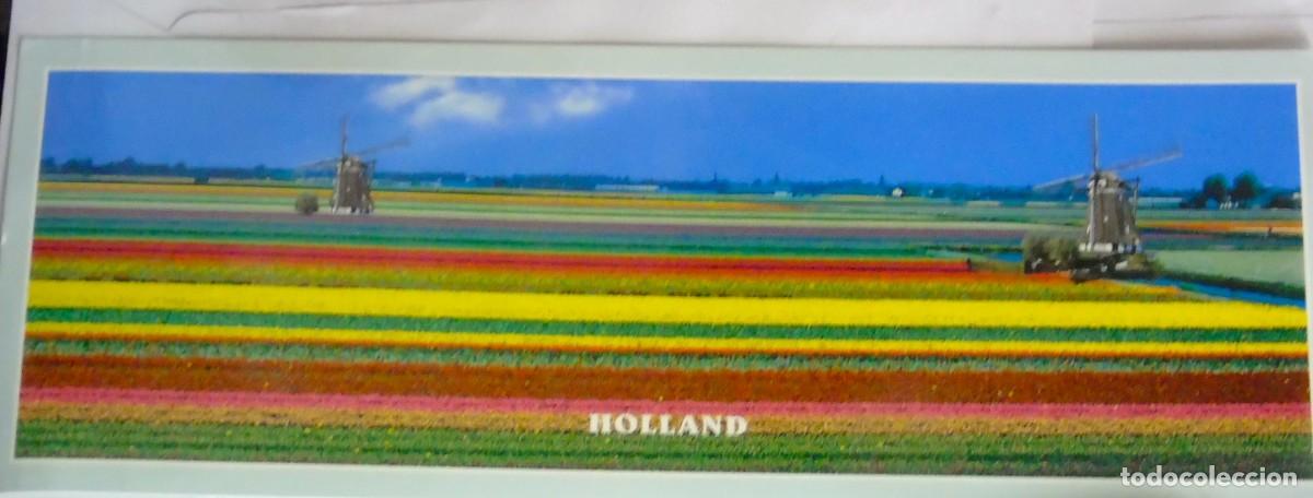 Postales: POSTAL HOLANDA TULIPANES GRANDES DIMENSIONES 30 X 11 CM