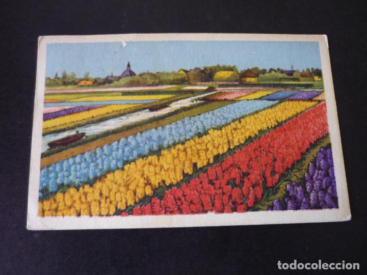 Postales: HOLANDA POSTAL - Foto 1