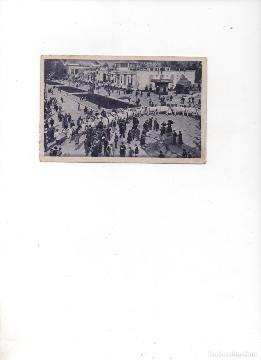 Cartoline: POSTAL DE ITALIA- MILAN- FERIA EXPOSICION INTERNACIONAL MUESTRARIA
