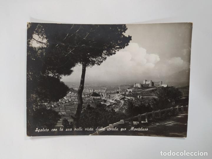 Cartes Postales: POSTAL MONTELUCO SPOLETO. TDKP21B