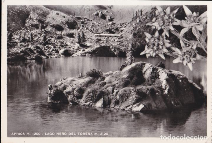 Postales: ITALIA, APRICA, LAGO NERO DEL TORENA - EDIZ.CORVI AGOSTINO N&ordm;38 - S/C