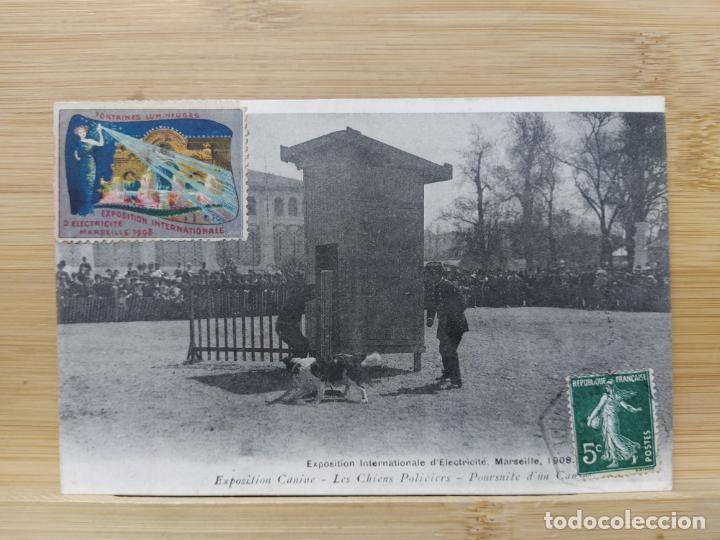 Postales: EXPOSITION INTERNATIONALE ELECTRICITE MARSEILLE 1908-EXPOSITION CANINE-POSTAL ANTIGUA-(105.010)
