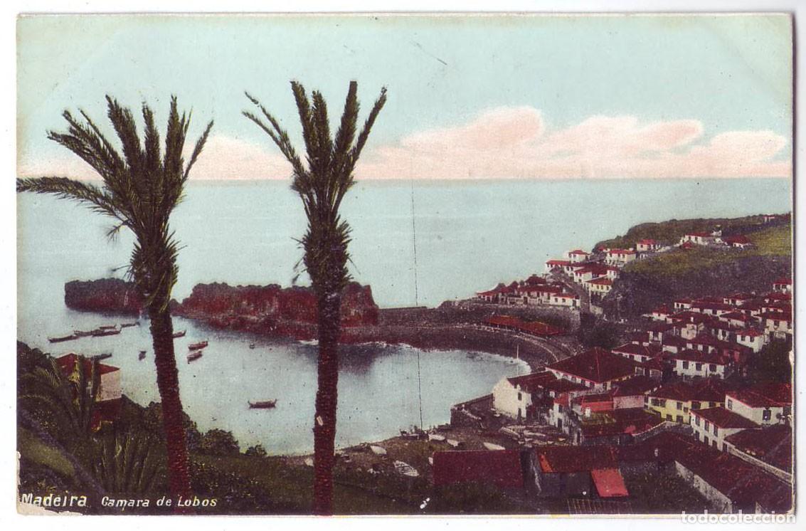 Postales: Portugal: Madeira. C&acirc;mara de Lobos. No consta editor. Circulada (A&ntilde;os 10)