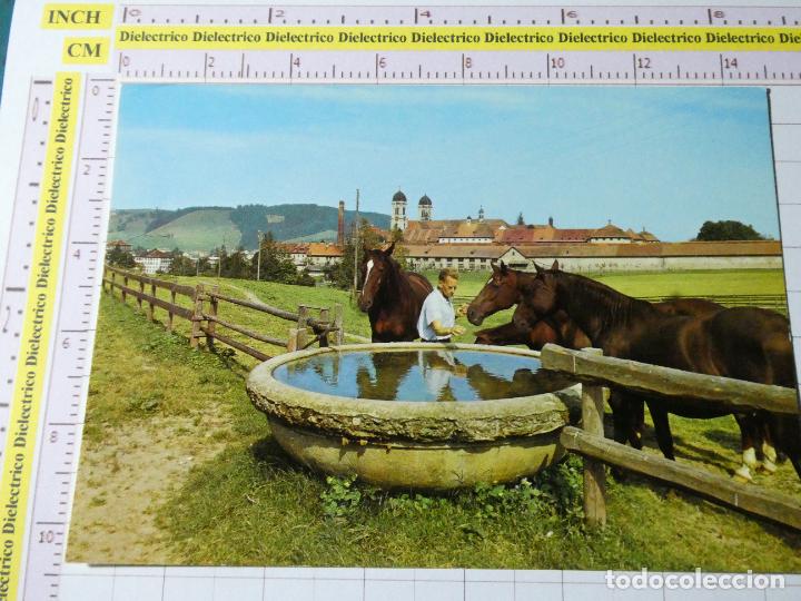 Cartes Postales: POSTAL DE ALEMANIA. EINSIEDELN PFERDETR&Auml;NKE CABALLOS. 687