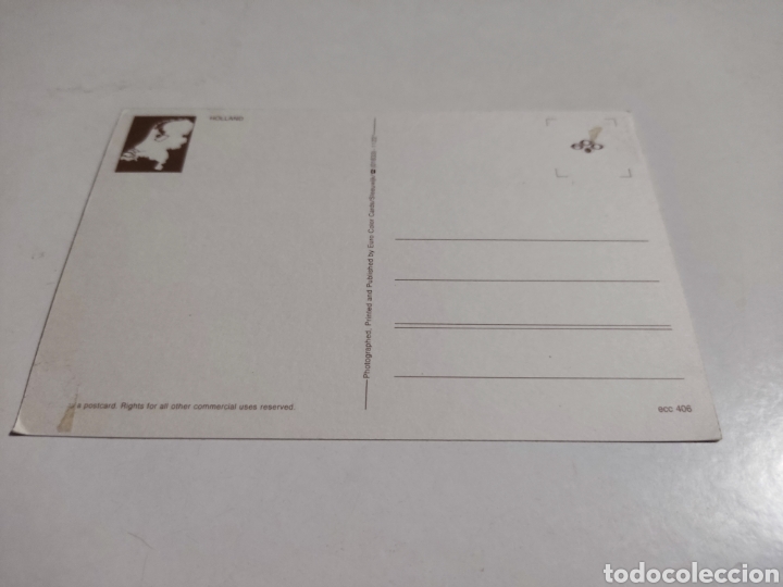 Postales: Postal Holanda quesos flores - Foto 2