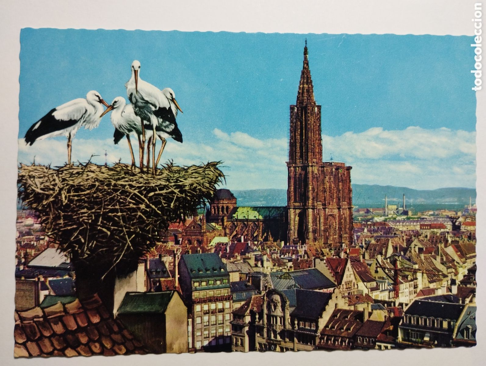 Postales: Postal ESTRASBURGO - Foto 1
