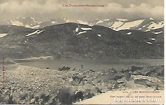 Cartoline: LES PYREENES-ORIENTALES - 484. LES BOUILLOUSES - SIN CIRCULAR