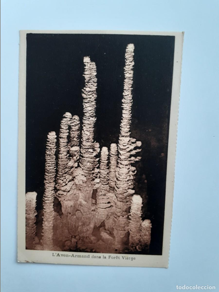 Postales: POSTAL - FRANCIA L'AVEN-ARMAND EN EL BOSQUE VIRGEN - S/C