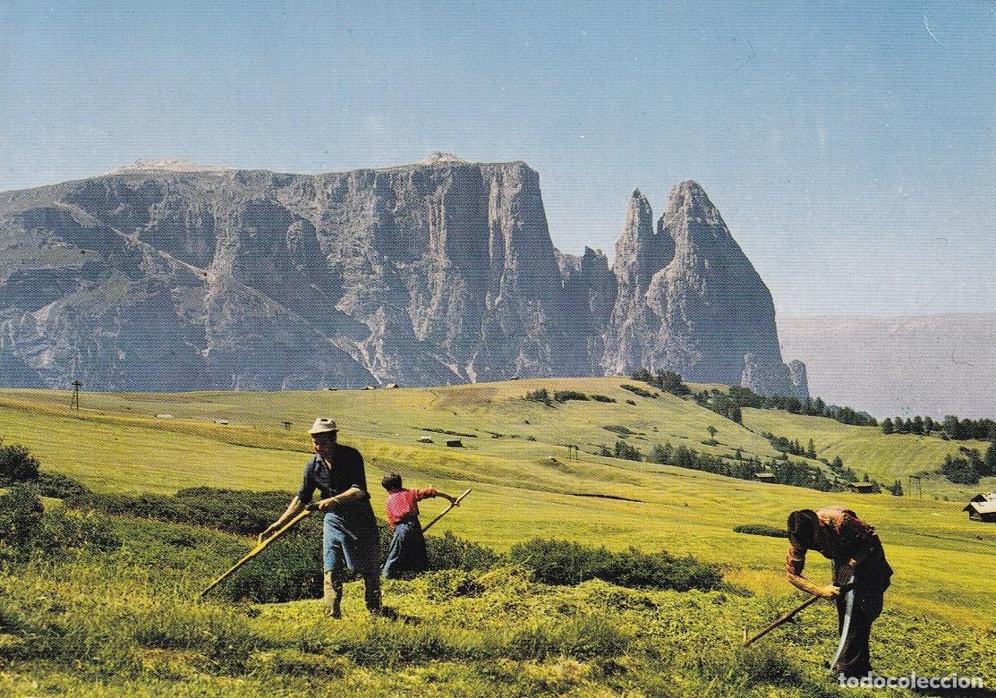 Postkarten: Dolomiti - Alpe di Siusi &middot; Lo Sciliar . 2564