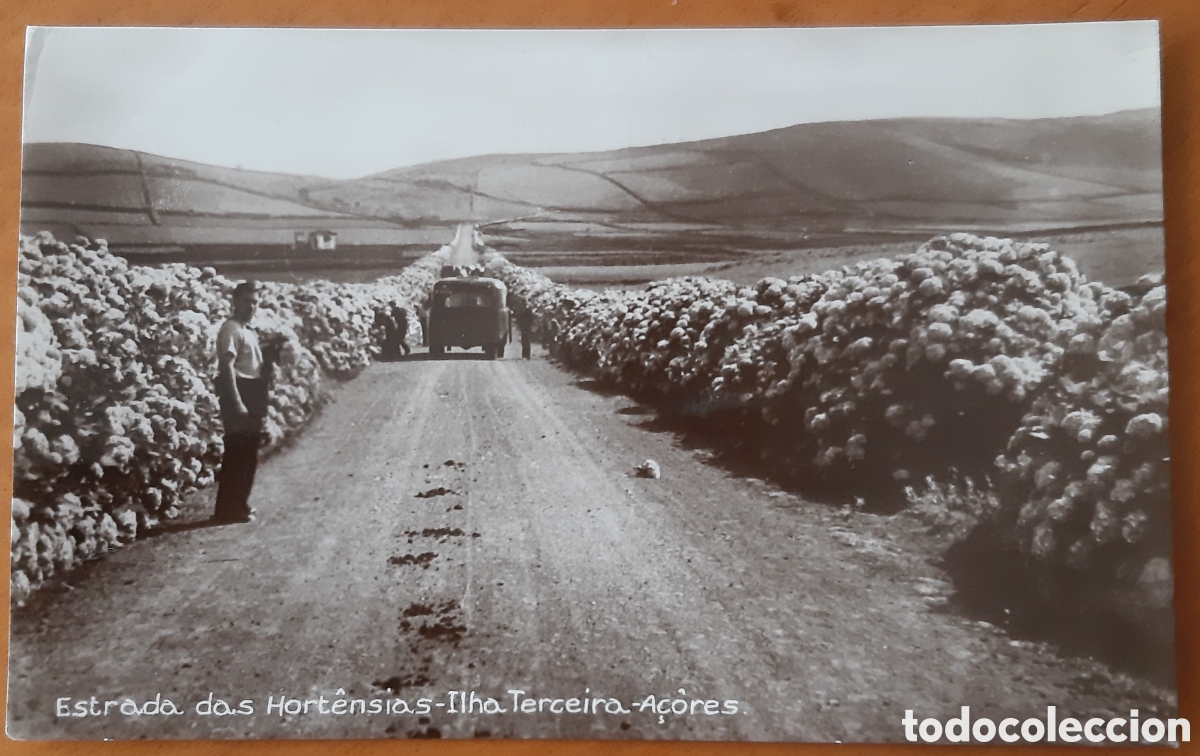 Postales: Postal Las Azores, Portugal. Escrita sin circular. R2868