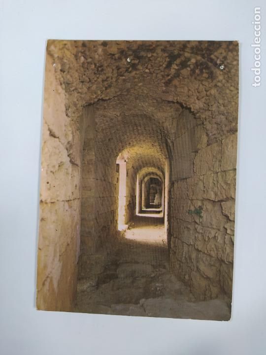 Postcards: POSTAL RUINAS IT&Aacute;LICA. ANFITEATRO. CIRCULADA. TDKP21D