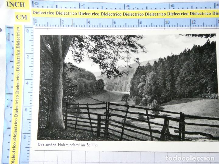 Cartoline: ANTIGUA POSTAL DE ALEMANIA. DAS SCH&Ouml;NE HOLZMINDETAL IM SOLLING. 209