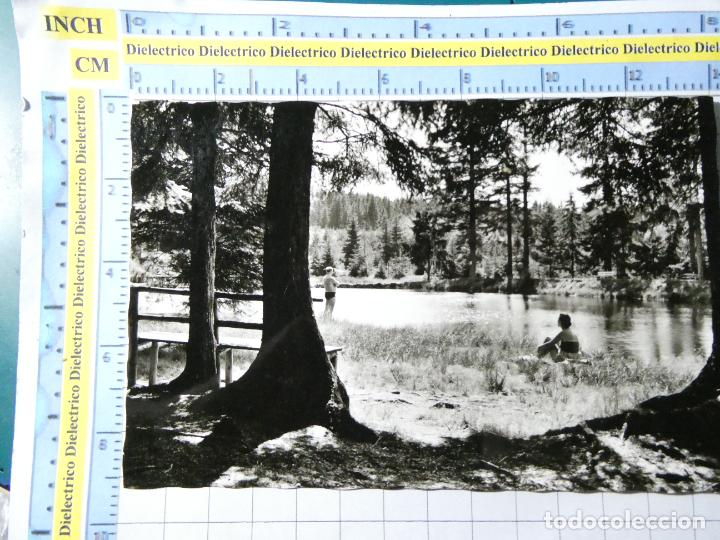 Cartoline: ANTIGUA POSTAL DE ALEMANIA. WALDBAD FLECKL IM FICHTELGEBIRGE 215