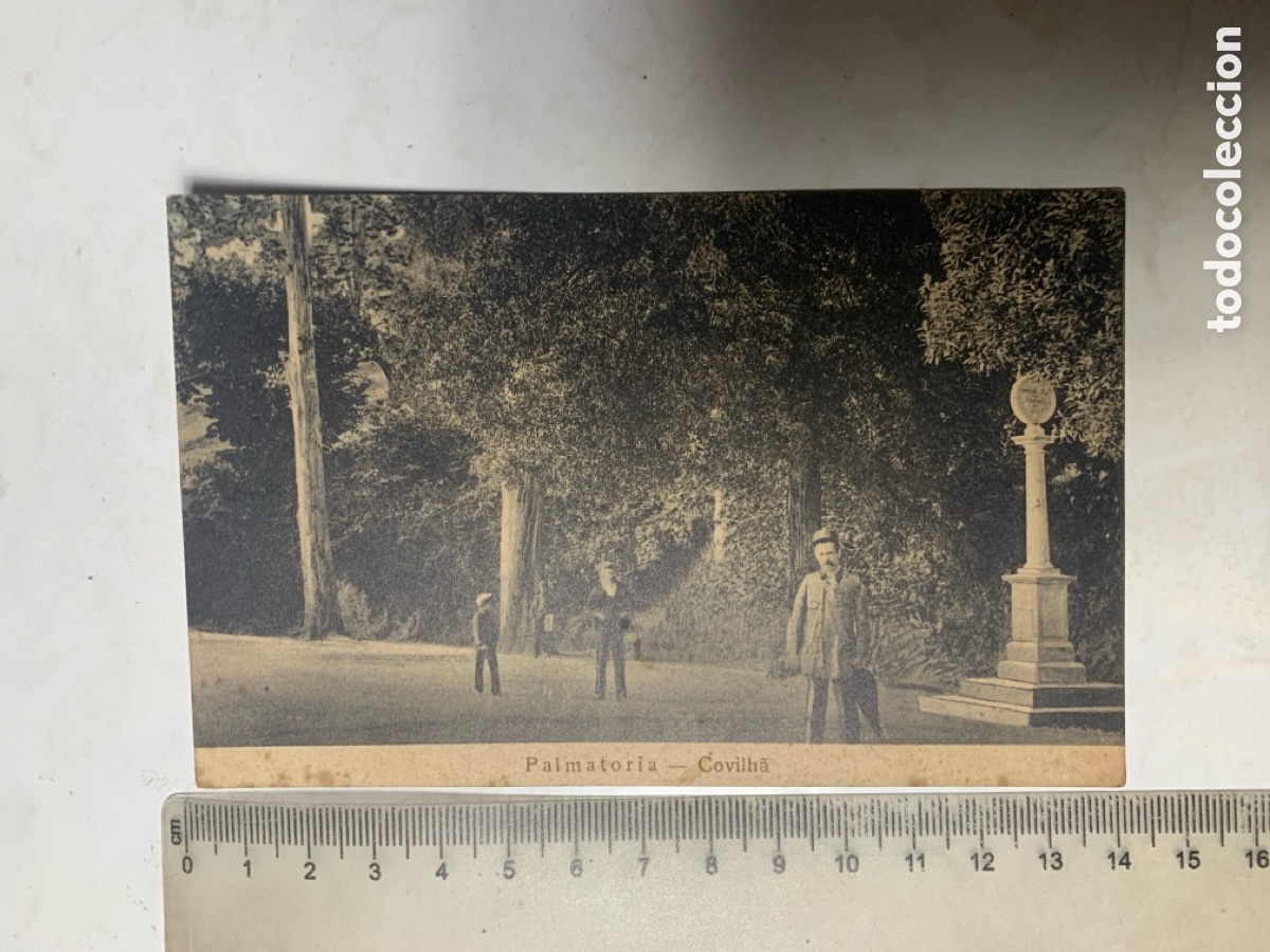 Postales: POSTAL. PORTUGAL. PALMATORIA. COVILHA.