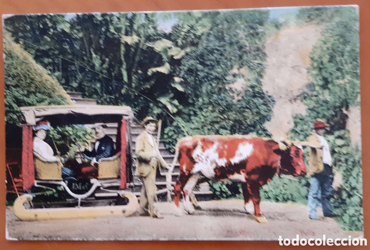 Cartes Postales: Postal Madeira coloreada.Portugal. sin escribir. R3785