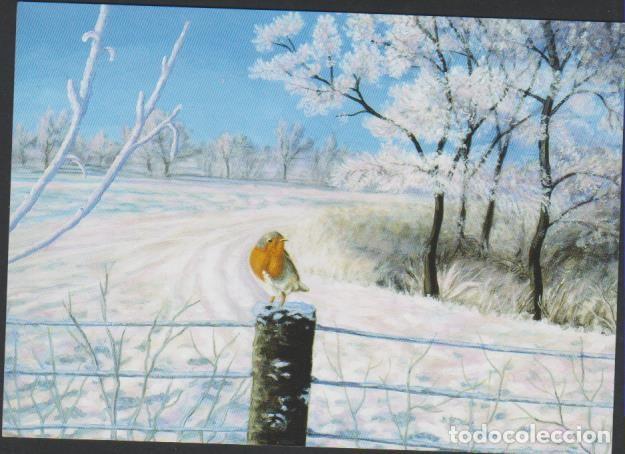 Postkarten: postal SIN CIRCULAR NAVIDAD PINTORES BOCA PIES ALEMANIA POST CARD