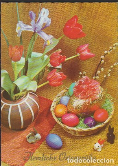 Postais: postal SIN CIRCULAR PASCUAS HERZLICHE OSTERGR&Uuml;BE ALEMANIA POST CARD