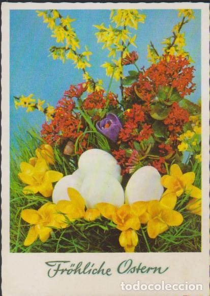 Postais: postal SIN CIRCULAR PASCUAS FR&Ouml;HLICHE OSTERN ALEMANIA POST CARD