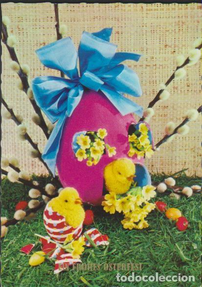Postkarten: postal SIN CIRCULAR PASCUAS EIN FROHES OSTERFEST ALEMANIA POST CARD