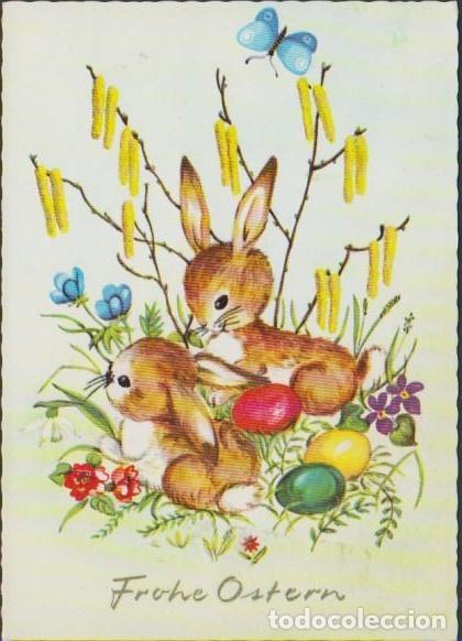 Postkarten: postal SIN CIRCULAR PASCUAS FROHE OSTERN ALEMANIA POST CARD