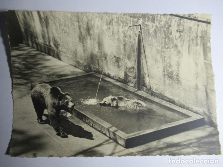 Postales: Bern - Circulada 1957 - Foto 1