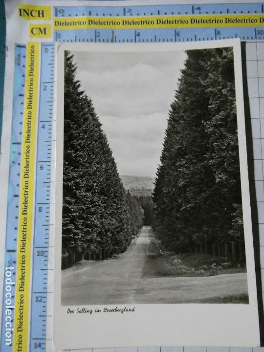 Cartes Postales: ANTIGUA POSTAL DE ALEMANIA. DER SOLLING IM WESERBERGLAND. 3410