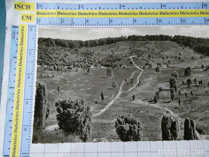 Postais: ANTIGUA POSTAL DE ALEMANIA. IM TOTENGRUND PARQUE NATURAL L&Uuml;NEBURGER HEIDE. 3414