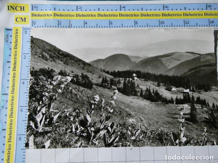 Postais: ANTIGUA POSTAL DE ALEMANIA. BL&Uuml;HENDER ENZIAN SELVA NEGRA 3438