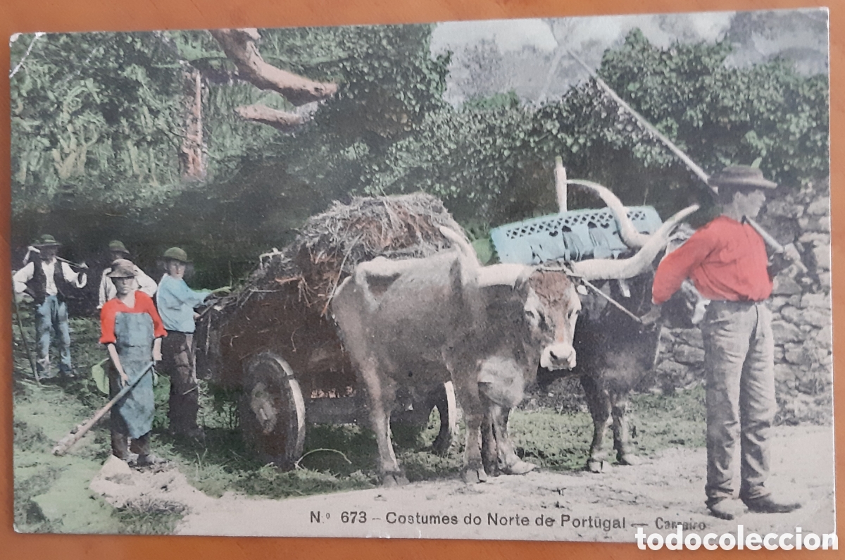 Cartoline: Postal Portugal costumbrista coloreada. Escrita y circulada. R4147