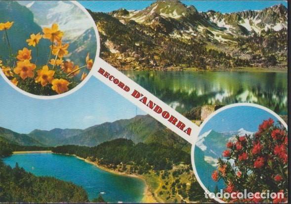 Postales: postal SIN CIRCULAR RECORD D' ANDORRA 1981 POST CARD