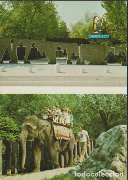 Postkarten: postal SIN CIRCULAR KNIE'S KINDERZOO RAPPERSWIL SCHWEIZ SUIZA POST CARD