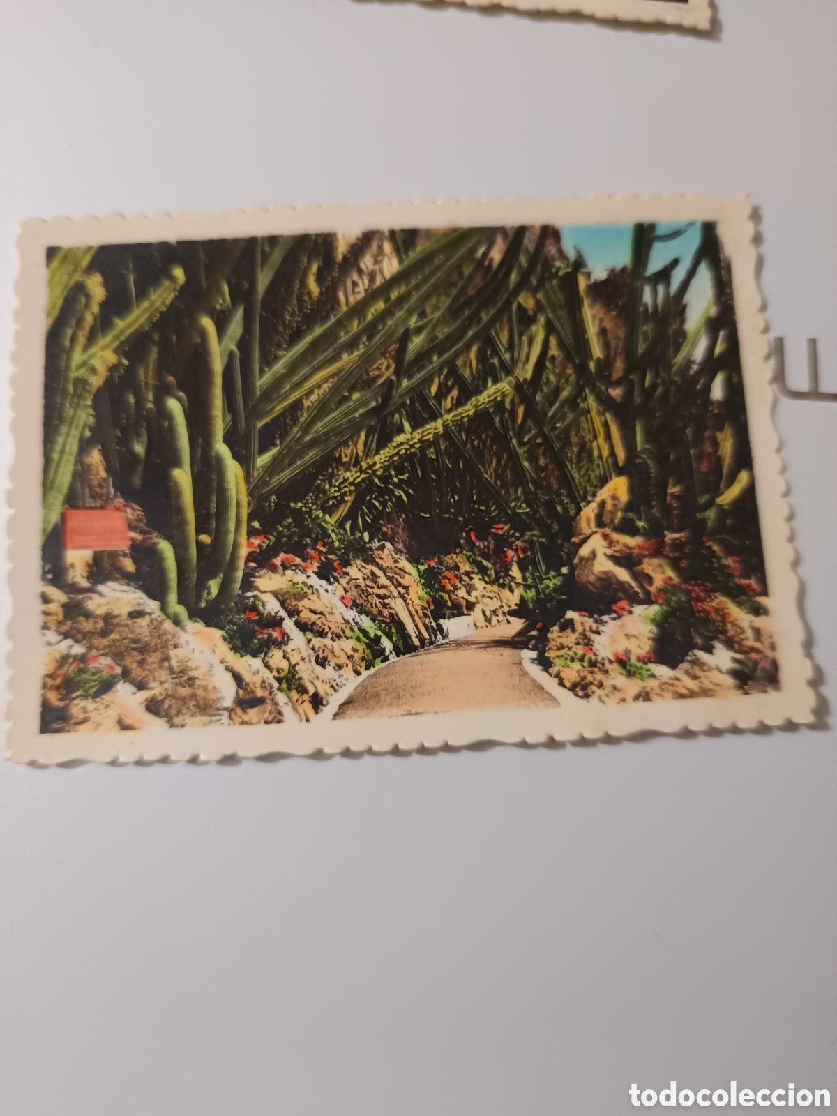 Postales: Postales de M&oacute;naco y Montecarlo - Foto 1