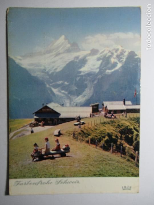 Postales: Grindelwald First mit Schreckhorn - Foto 1