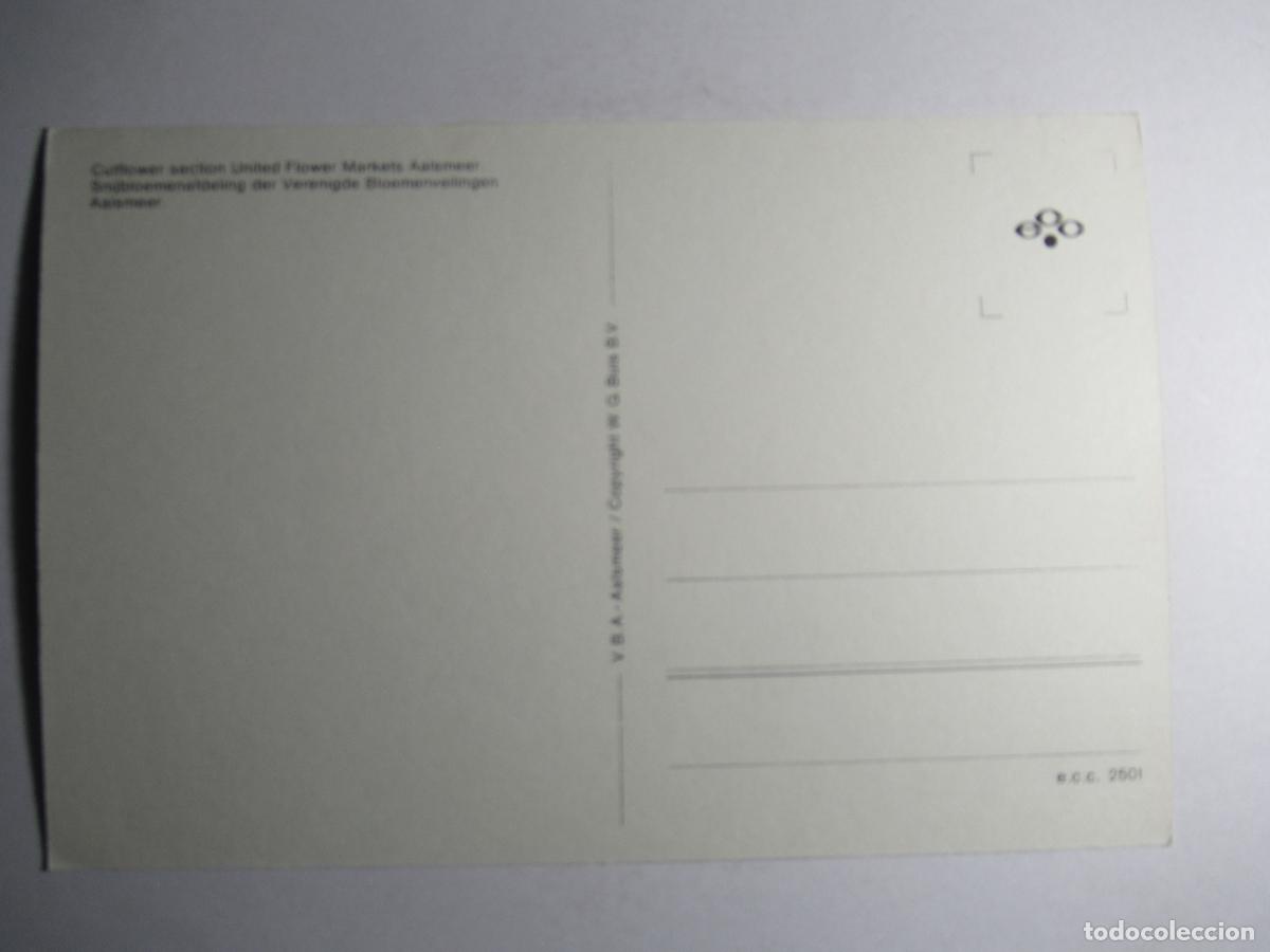 Postales: Aalsmmer - Holland - Foto 2