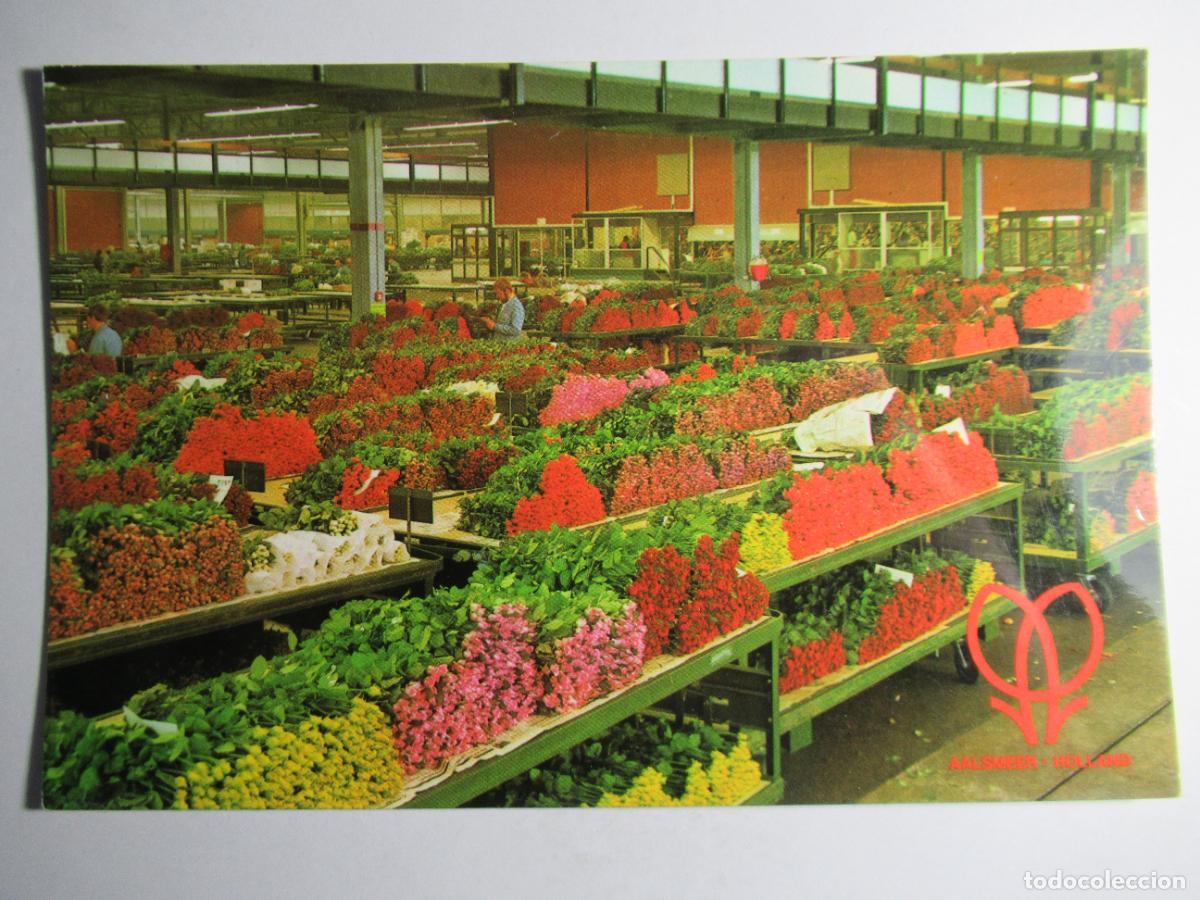 Postales: Aalsmmer - Holland - Foto 1