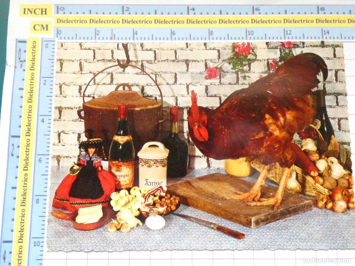 Cartes Postales: POSTAL DE FRANCIA. RECETA COCINA FRANCESA LE COQ AU VIN. 1400