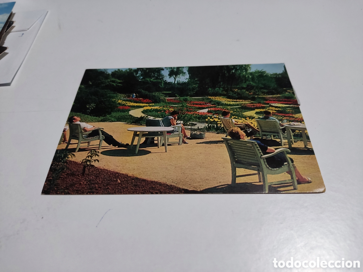 Postales: Postal Essen parque gente tomando el Sol - Foto 1