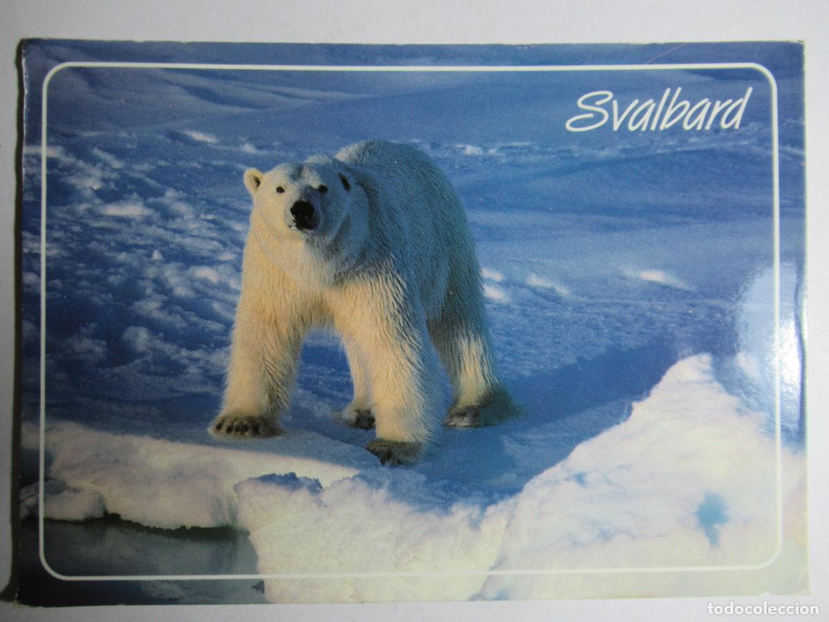 Postales: Svalbard - Norge - Foto 1