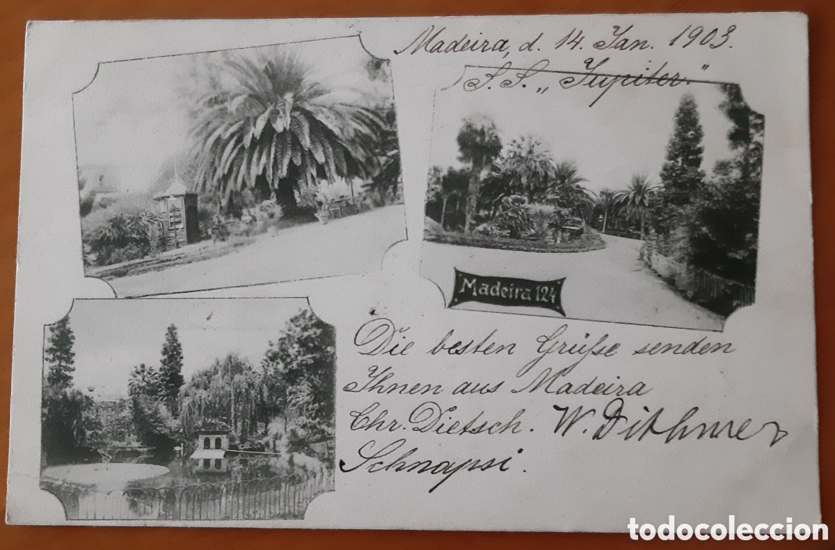 Cartoline: Postal Madeira Portugal. Escrita y circulada. R5619