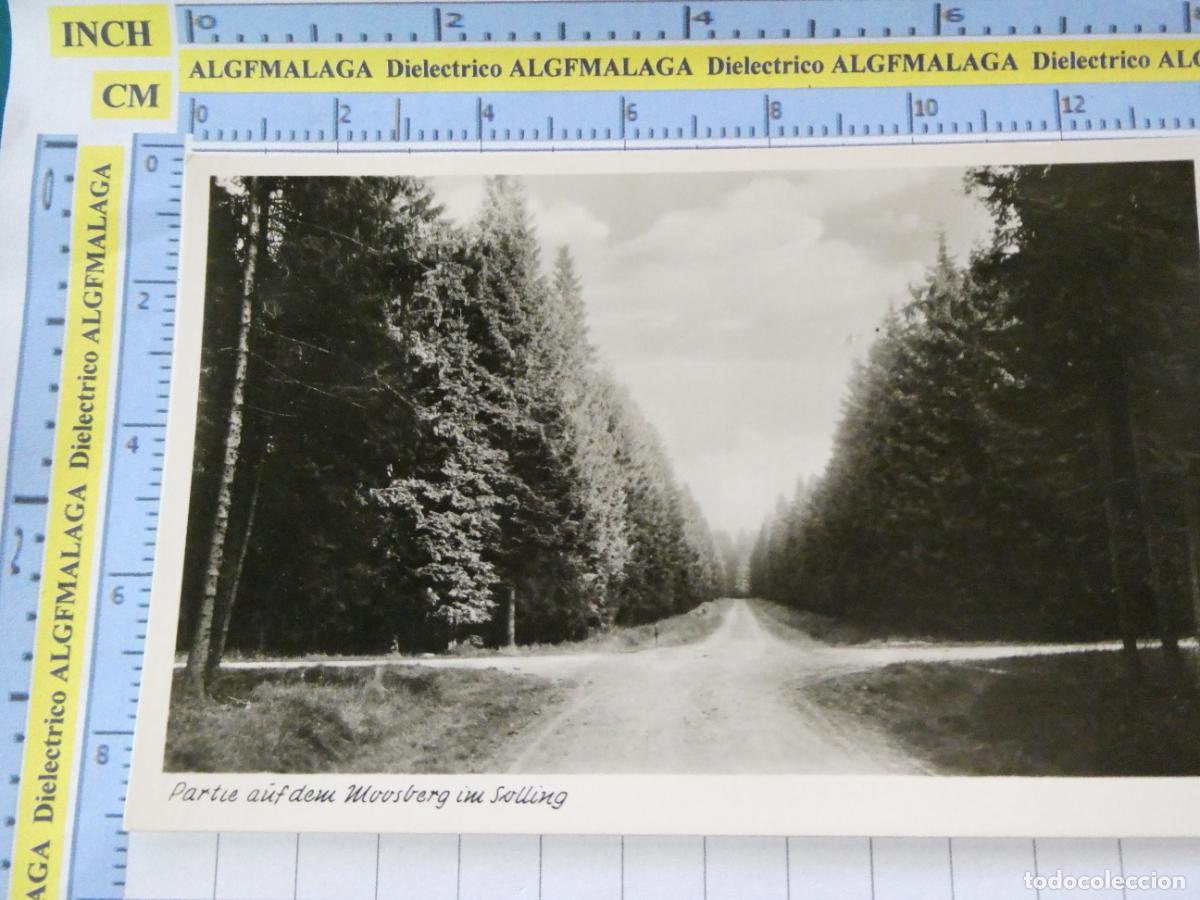 Cartoline: ANTIGUA POSTAL DE ALEMANIA. PARTIE AUF DEM MOOSBERG IM SOLLING. 344