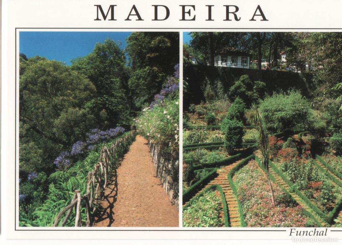 Postais: Madeira-Portugal-escrita--