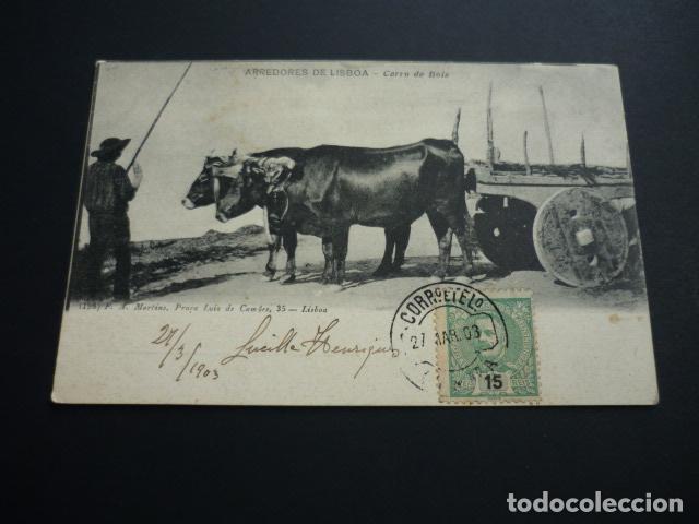 Postales: LISBOA PORTUGAL POSTAL - Foto 1