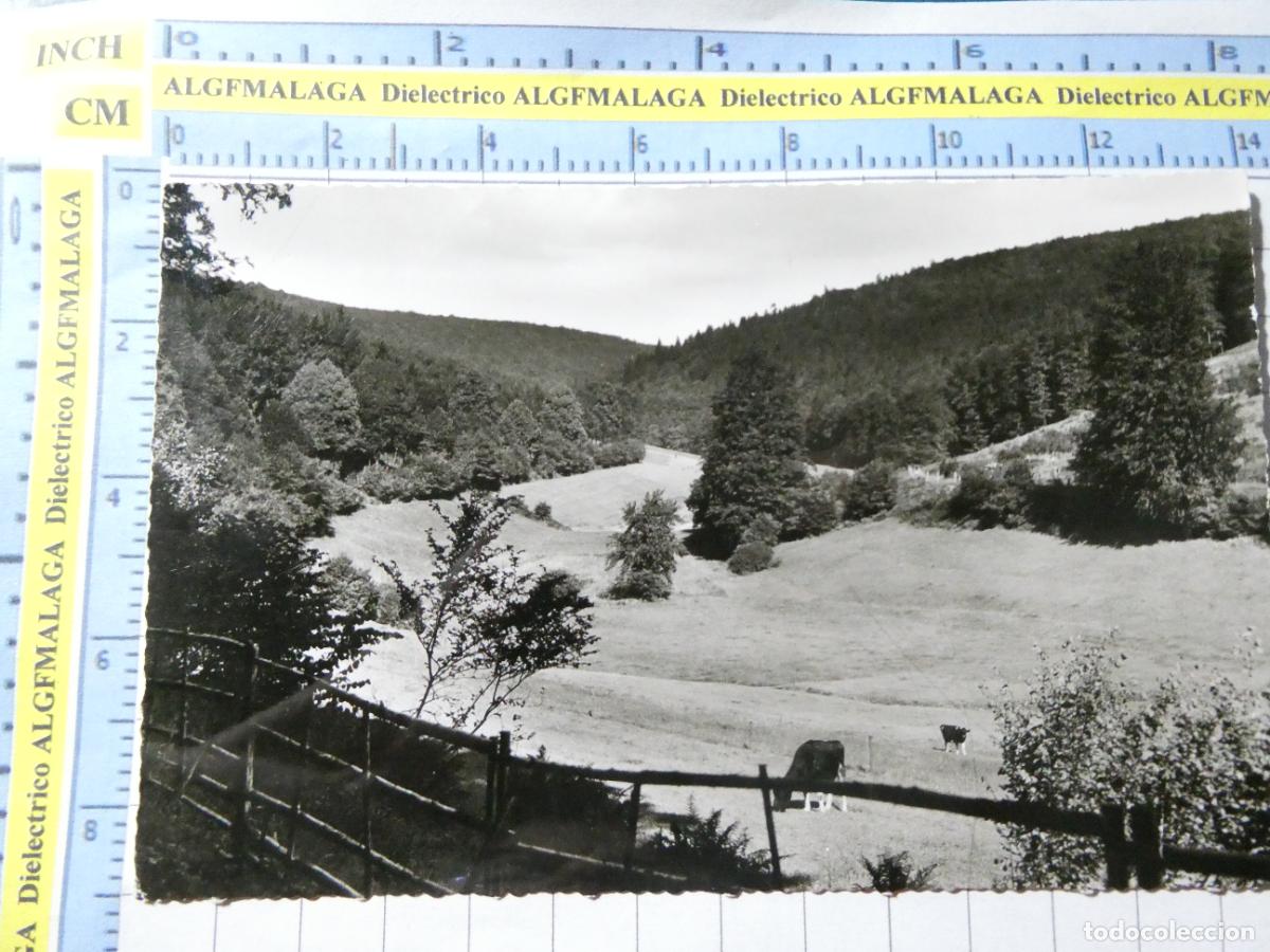Cartoline: ANTIGUA POSTAL DE ALEMANIA PARTIE IM SOLLING WEGE HOLZMINDEN NEUHAUS. 876