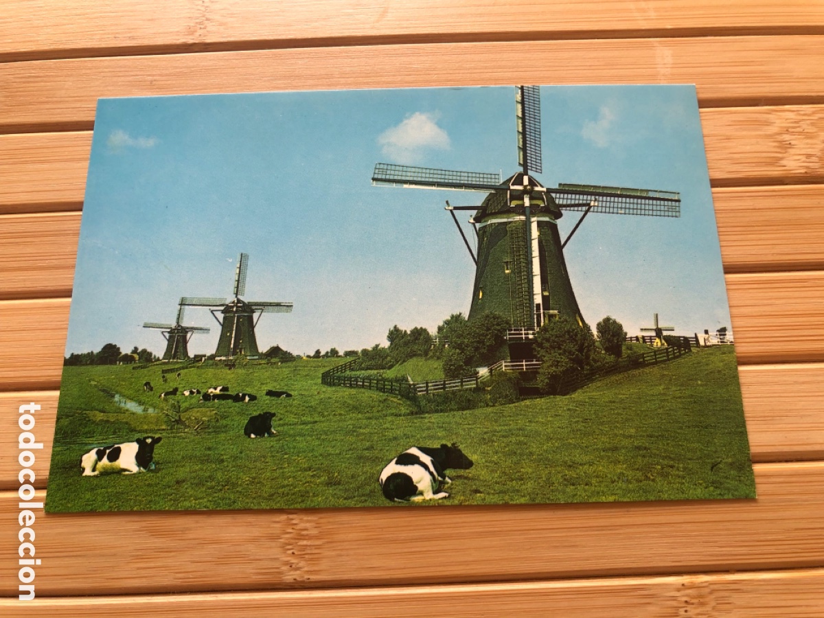 Postales: Postal Leidschendam. Holanda. Molinos. Caracter&iacute;sticas. Sin circular. ASM